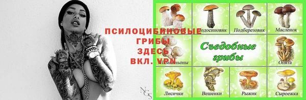 МДПВ Абдулино