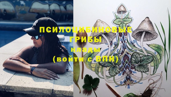 ешки Абинск