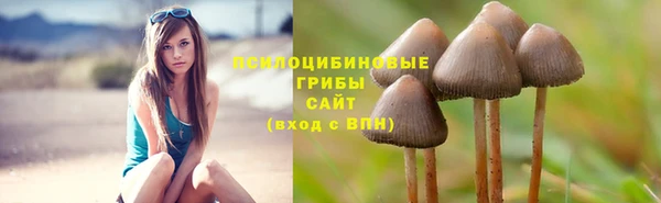 ешки Абинск