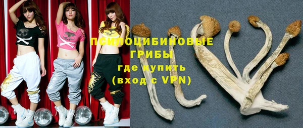 винт Абаза