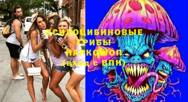 винт Абаза