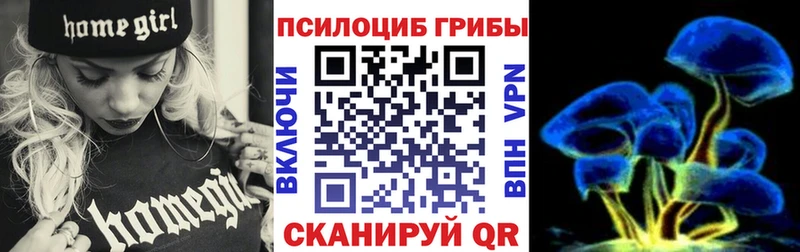 Галлюциногенные грибы мицелий  закладка  Лосино-Петровский 