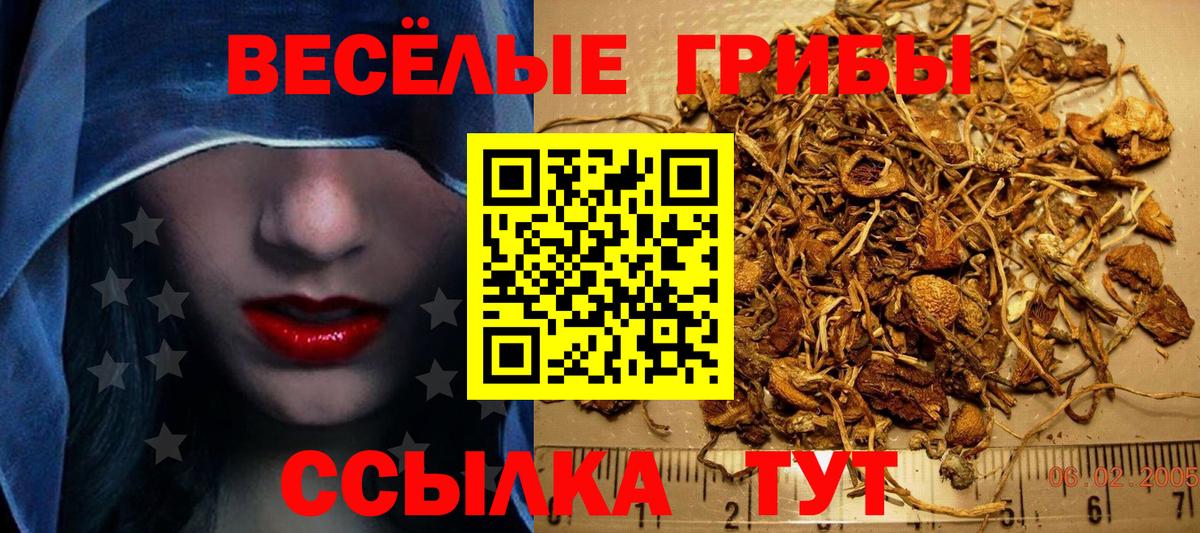 Псилоцибиновые грибы Psilocybe  Вход с VPN  Лосино-Петровский  Псилоцибиновые грибы Psilocybe 